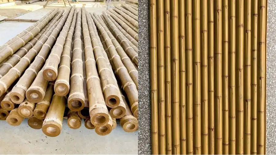 Công nghệ biến tính nhiệt tre - Giải pháp cho Vật liệu xanh 1 Công nghệ biến tính nhiệt tre – Giải pháp cho Vật liệu xanh
