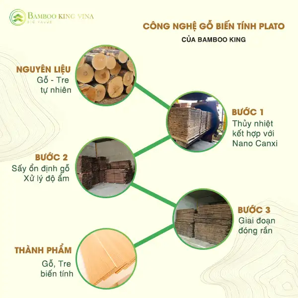 Công nghệ biến tính nhiệt tre - Giải pháp cho Vật liệu xanh 2 Công nghệ biến tính nhiệt tre – Giải pháp cho Vật liệu xanh