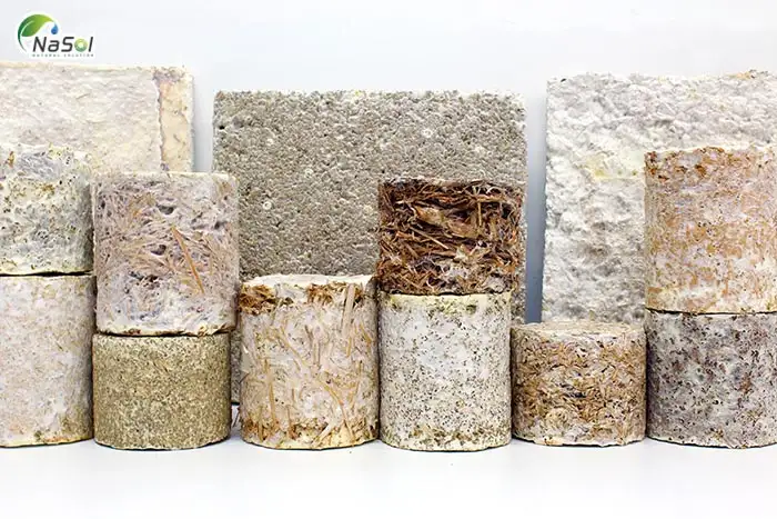 Nấm Composite: Vật liệu sinh học tương lai cho kiến trúc bền vững 1 Nấm Composite: Vật liệu sinh học tương lai cho kiến trúc bền vững